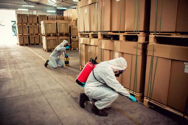 Best Cockroach Control Services  in Haiku Pauwela, HI