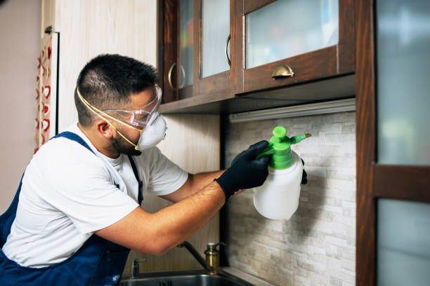 Best Ant Control Services  in Haiku Pauwela, HI
