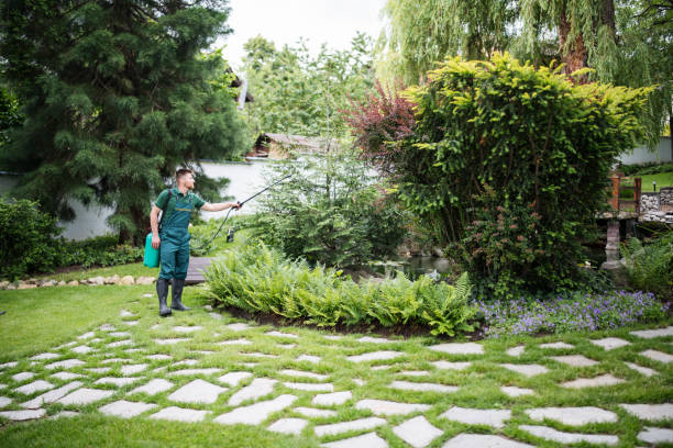 Best Local Pest Control Services  in Haiku Pauwela, HI