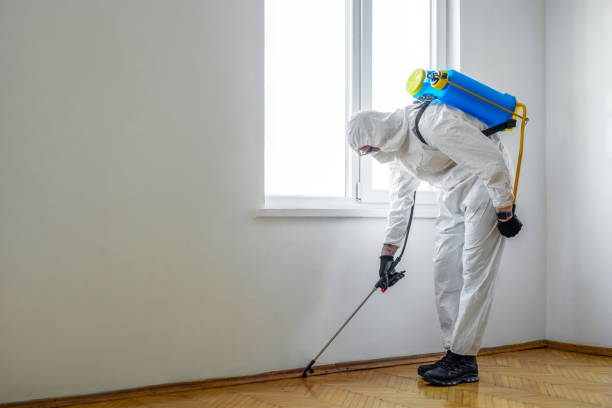 Best Commercial Pest Control Services  in Haiku Pauwela, HI