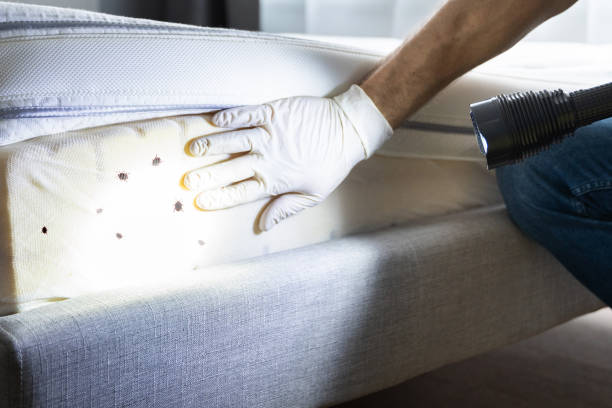 Pest Control Cost in Haiku Pauwela, HI
