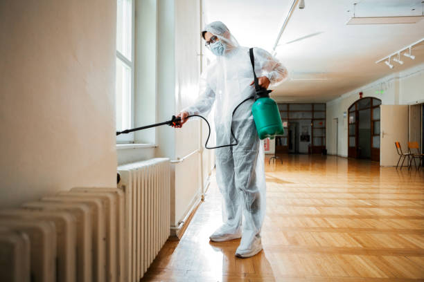 Trusted Haiku Pauwela, HI Pest Control Experts