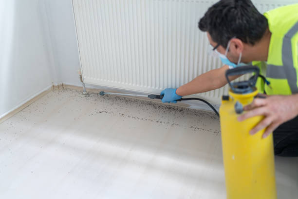 Best Pest Control Cost  in Haiku Pauwela, HI